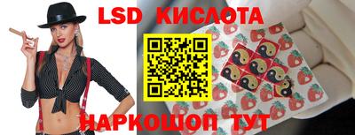 гашик Будённовск