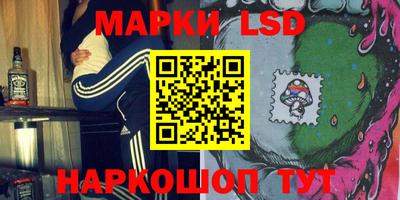 гашик Будённовск