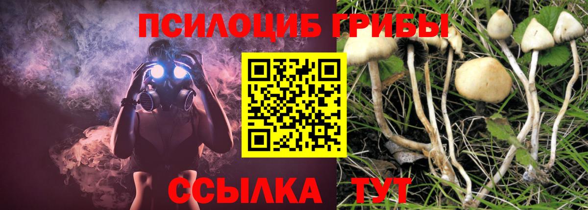 Усинск  Галлюциногенные грибы мухоморы  Вход с VPN 