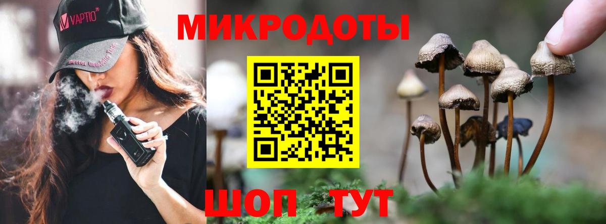 Галлюциногенные грибы Cubensis Усинск